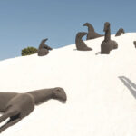 Il Belice: un museo d’arte moderna sotto le stelle